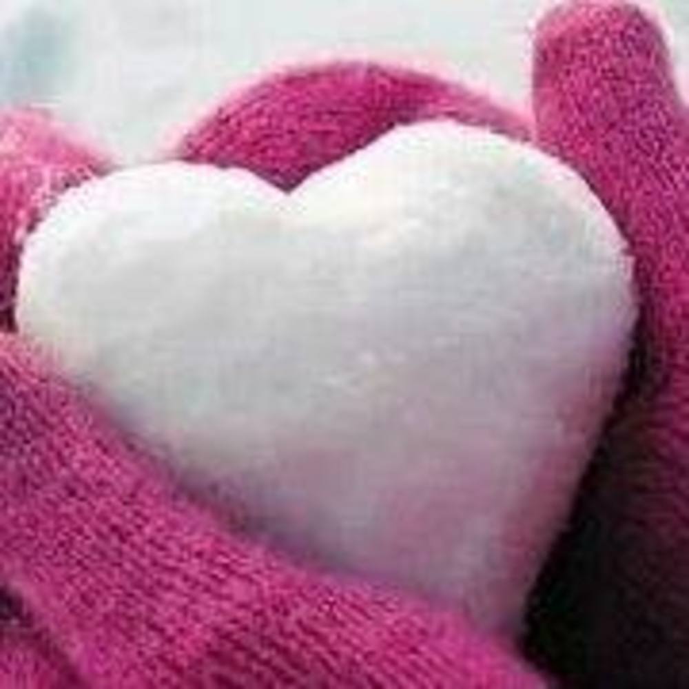 Meet your Posher, Darlene